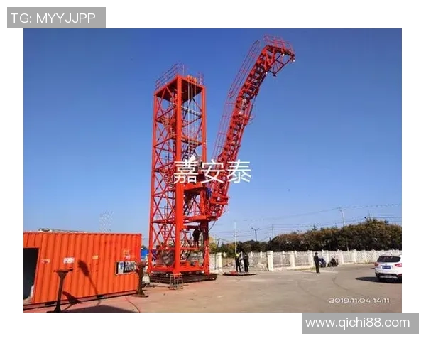 专业解析LNG市场的盯防策略与应对措施探讨