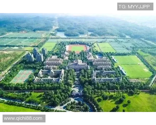 大连柳足球的崛起与发展探索如何重塑城市足球文化与未来之路