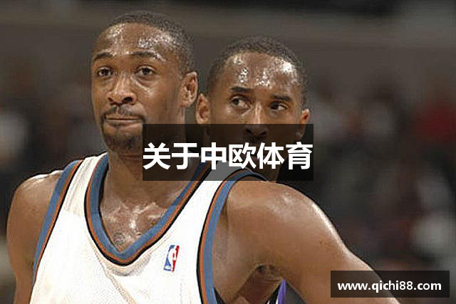 关于中欧体育